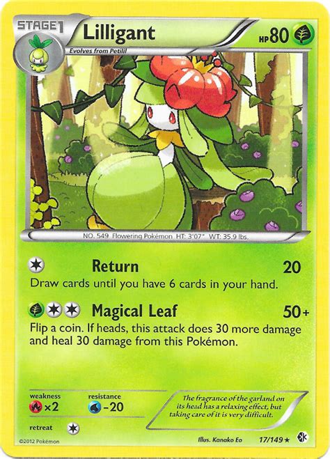 lilligant bulbapedia|bulbapedia all pokemon.